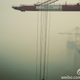 Tianjin Harbor